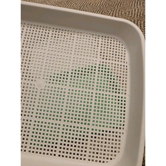 4 Pcs Seed Sprouter Tray with Drain Holes for Microgreens Growing Kit - Picture 15 of 16